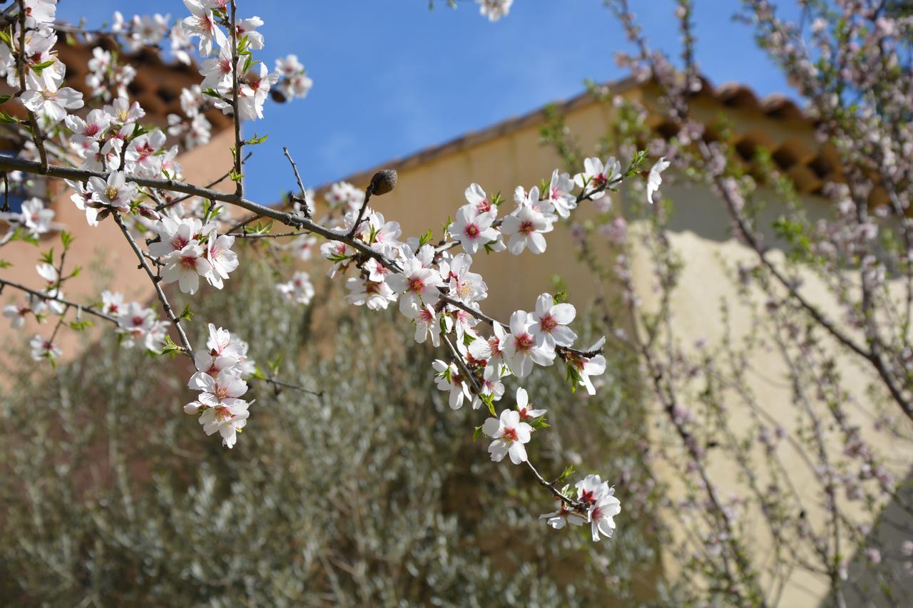 Villa Les Aludes La Destrousse Esterno foto